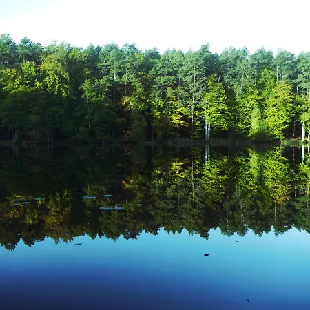 Waldschenke Stendeniz Ferienhaus Im Wald Am See *