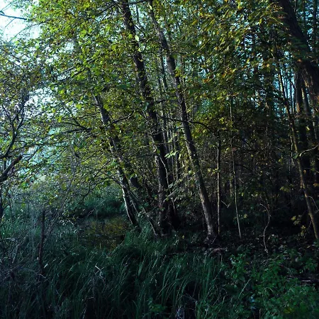Waldschenke Stendeniz Ferienhaus Im Wald Am See *