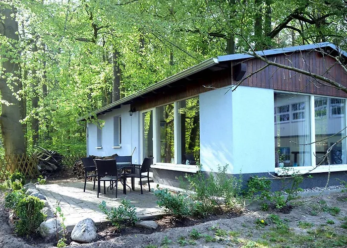Waldschenke Stendeniz Ferienhaus Im Wald Am See Nyaraló Stendenitz